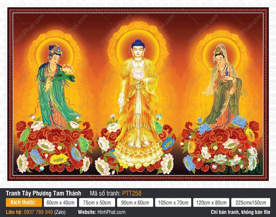 Hình Tây Phương Tam Thánh A Di Đà Phật PTT258 Hình Tây Phương Tam Thánh A Di Đà Phật PTT258 ngự tòa sen vàng rực rỡ tỏa hào quang kim sắc