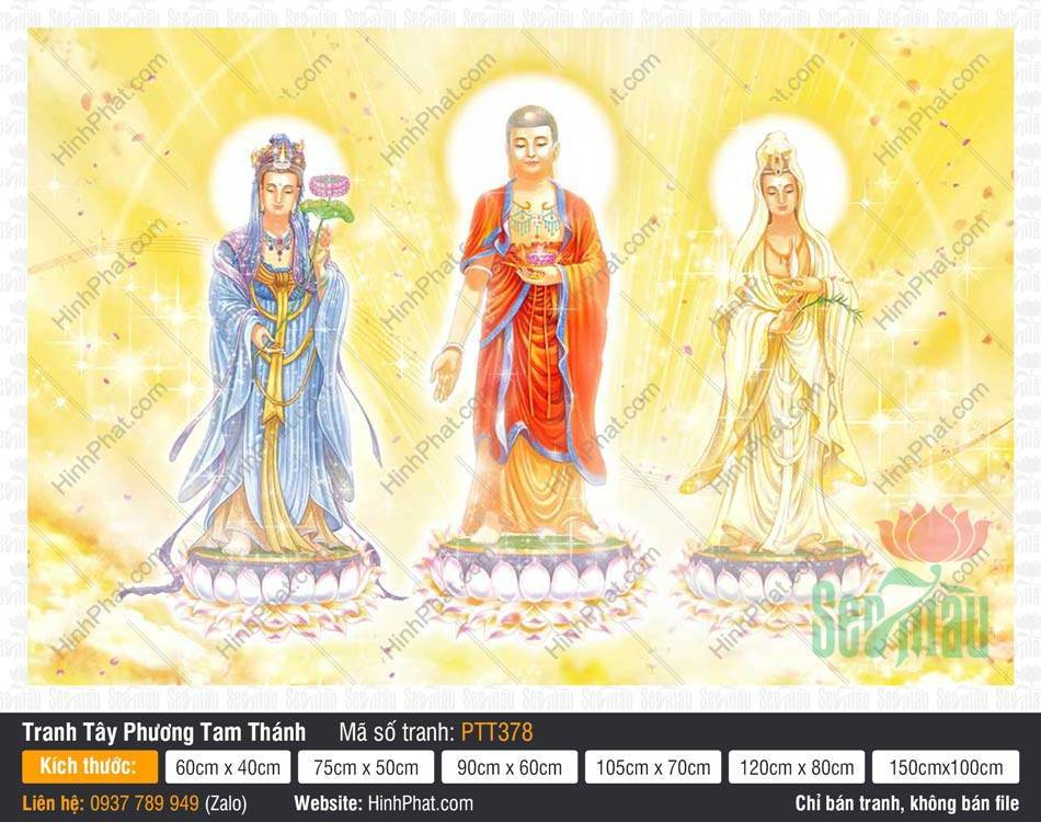 Hình Tây Phương Tam Thánh A Di Đà Phật PTT378 Hình Tây Phương Tam Thánh A Di Đà Phật PTT378 đứng trên đài sen trắng nền vàng rực rỡ