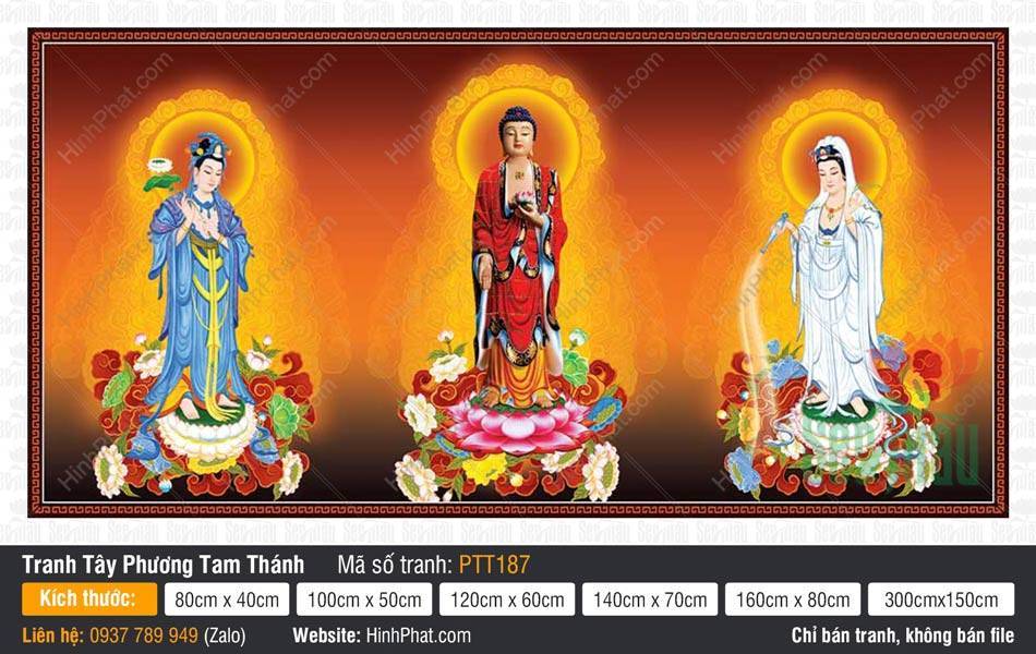 Hình Tây Phương Tam Thánh Chất Lượng Cao PTT187 Hình Tây Phương Tam Thánh Chất Lượng Cao PTT187 với Bồ Tát y trắng xanh đứng trên đài sen.
