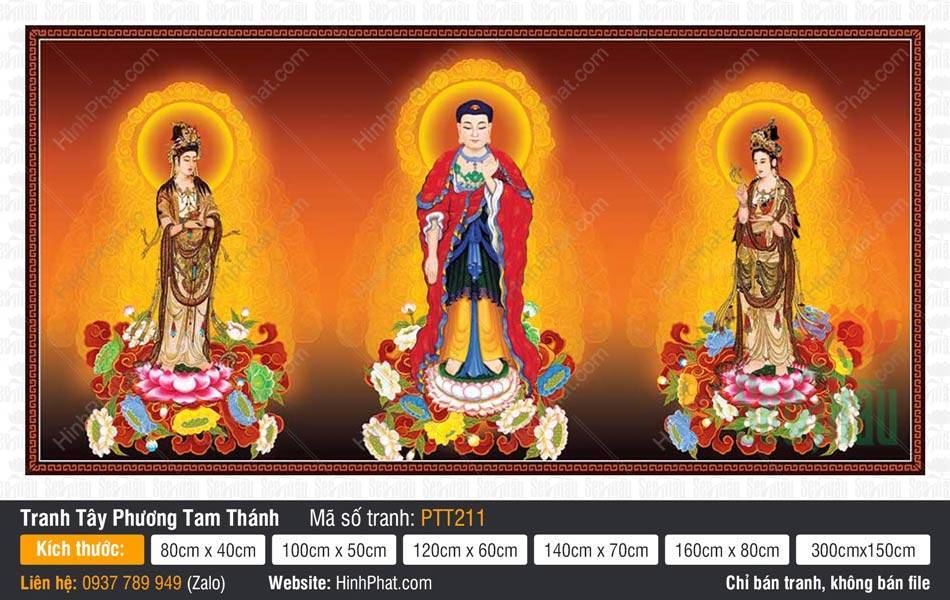 Hình Tây Phương Tam Thánh Chất Lượng Cao PTT211 Hình Tây Phương Tam Thánh Chất Lượng Cao PTT211 mô tả ba vị tôn túc đứng đài sen
