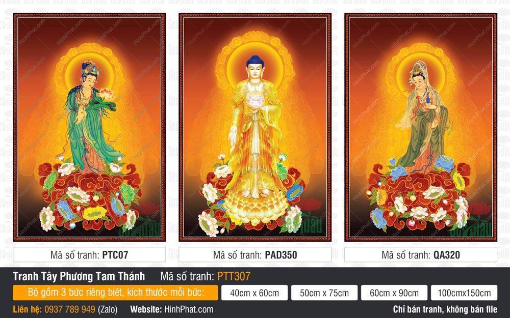 Hình Tây Phương Tam Thánh Chất Lượng Cao PTT307 Hình Tây Phương Tam Thánh Chất Lượng Cao PTT307 tả Phật A Di Đà y vàng đứng giữa hai vị Bồ Tát