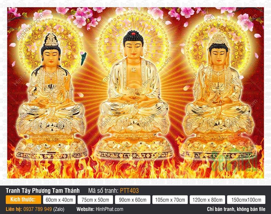 Hình Tây Phương Tam Thánh Chất Lượng Cao PTT403 Hình Tây Phương Tam Thánh Chất Lượng Cao PTT403 rực rỡ sắc vàng