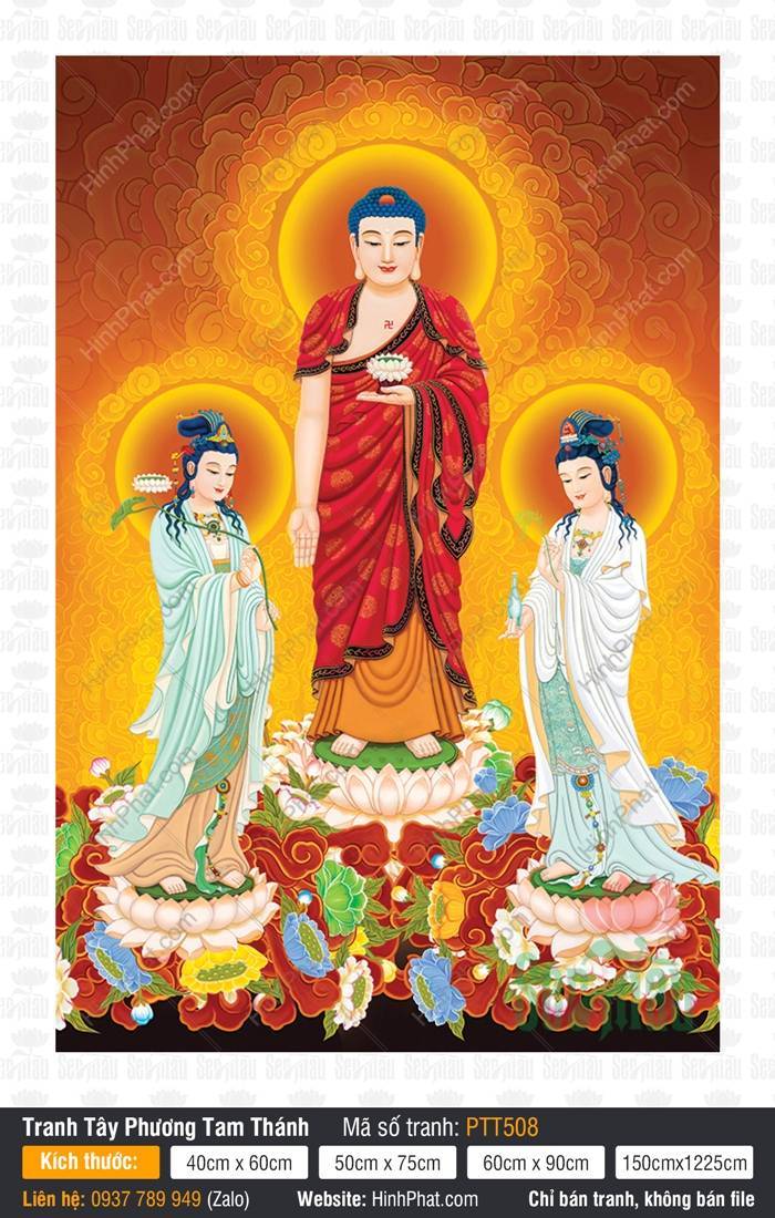 Hình Tây Phương Tam Thánh Chất Lượng Cao PTT508 Hình Tây Phương Tam Thánh Chất Lượng Cao PTT508 Ba Ngài đứng uy nghiêm trên đài sen nền vàng