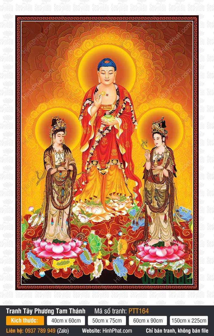 Hình Tây Phương Tam Thánh Đẹp PTT164 Hình Tây Phương Tam Thánh Đẹp PTT164 ba vị Phật Bồ Tát đứng trên đài sen hào quang rực rỡ