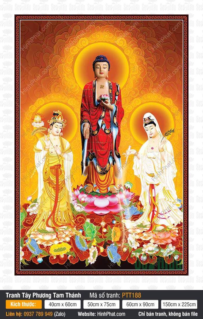 Hình Tây Phương Tam Thánh Đẹp PTT188 Hình Tây Phương Tam Thánh Đẹp PTT188 mô tả ba đức Phật đứng trên tòa sen giữa mây vàng