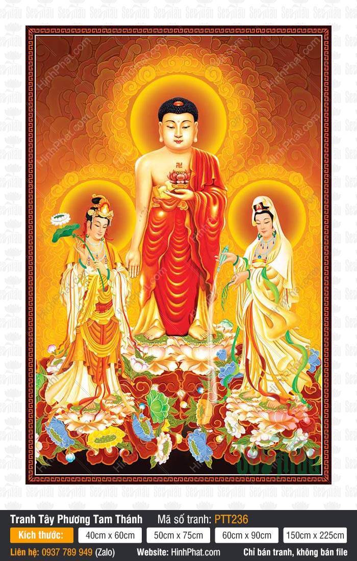 Hình Tây Phương Tam Thánh Đẹp PTT236 Hình Tây Phương Tam Thánh Đẹp PTT236, Đức Phật A Di Đà và hai vị Bồ Tát ngự đài sen hào quang tỏa sáng