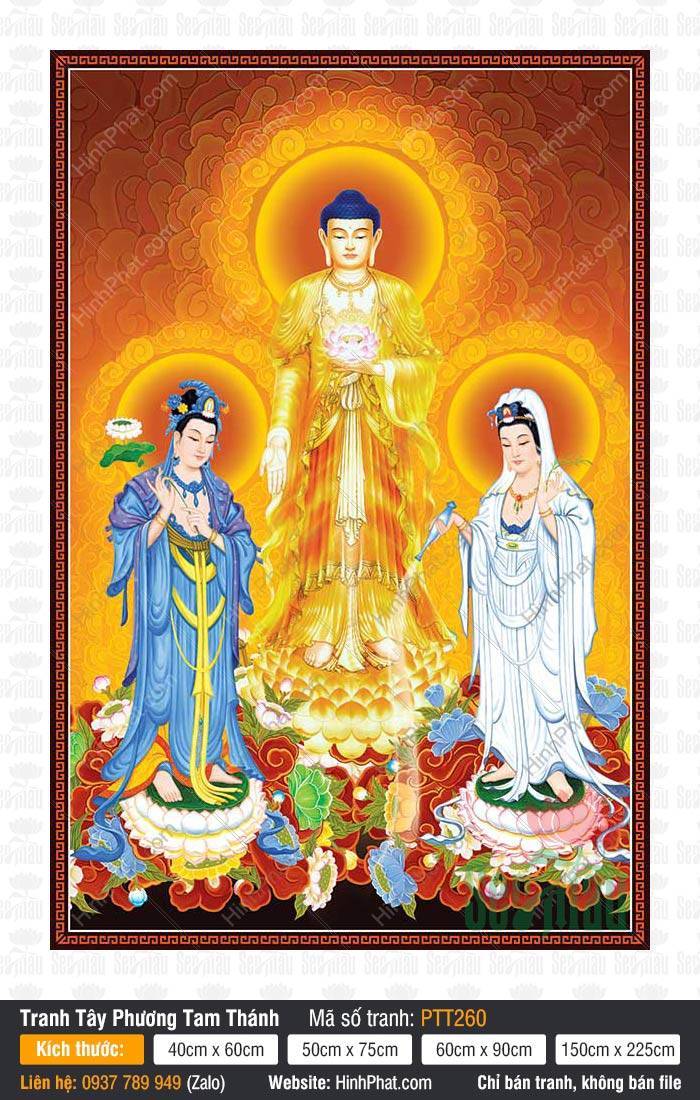 Hình Tây Phương Tam Thánh Đẹp PTT260 Hình Tây Phương Tam Thánh Đẹp PTT260 ngự tòa sen rực rỡ với y phục vàng xanh trắng tinh xảo
