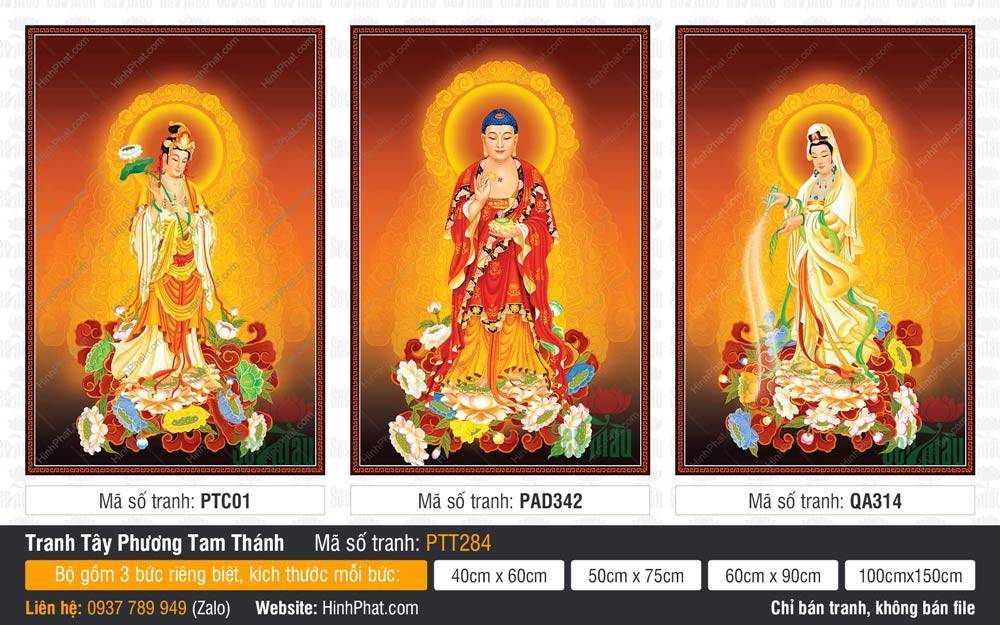 Hình Tây Phương Tam Thánh Đẹp PTT284 Hình Tây Phương Tam Thánh Đẹp PTT284 bộ ba Ngài đứng trên đài sen rực rỡ