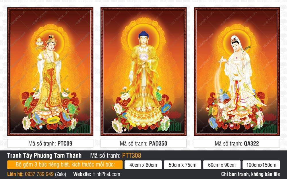 Hình Tây Phương Tam Thánh Đẹp PTT308 Hình Tây Phương Tam Thánh Đẹp PTT308 khắc họa ba vị thánh đứng trên đài sen vàng rực rỡ