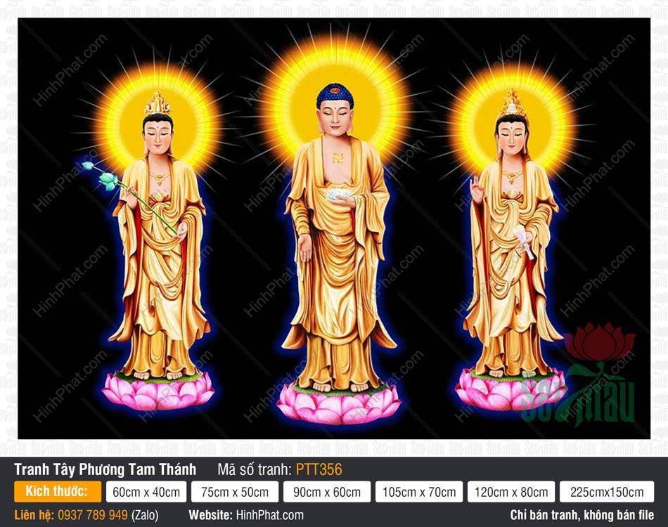 Hình Tây Phương Tam Thánh Đẹp PTT356 Hình Tây Phương Tam Thánh Đẹp PTT356 với Ba Ngài mặc y vàng đứng trên đài sen nền đen
