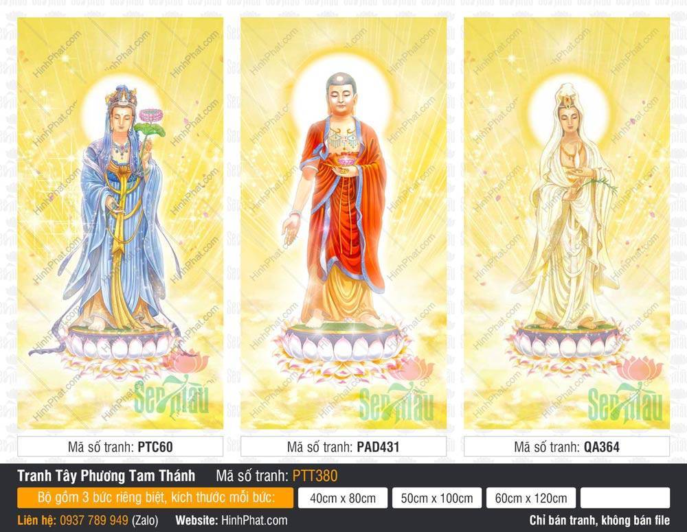 Hình Tây Phương Tam Thánh Đẹp PTT380 Hình Tây Phương Tam Thánh Đẹp PTT380 với ba vị Phật áo xanh đỏ trắng ngự đài sen