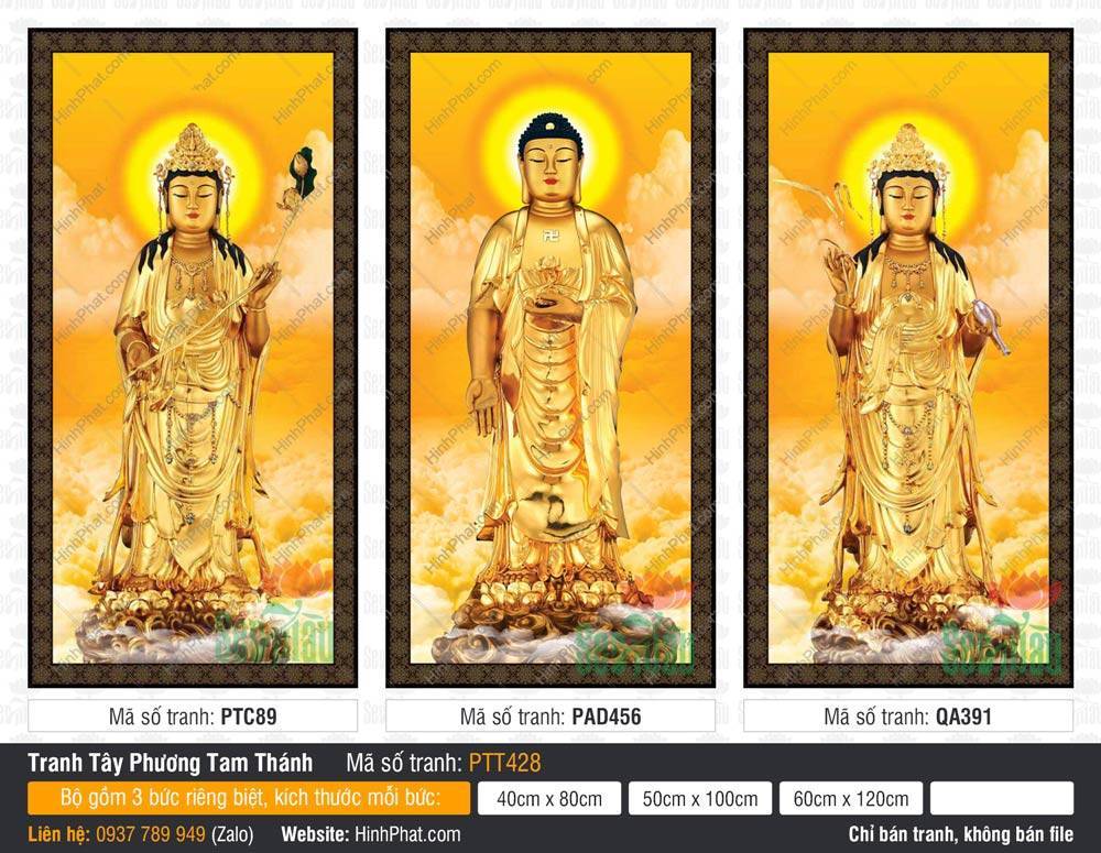 Hình Tây Phương Tam Thánh Đẹp PTT428 Hình Tây Phương Tam Thánh Đẹp PTT428 tôn tượng vàng kim đứng trên đài sen nền mây vàng rực rỡ