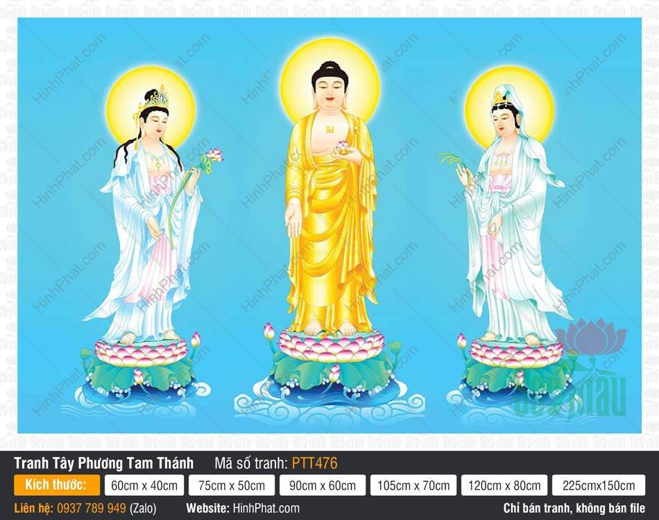 Hình Tây Phương Tam Thánh Đẹp PTT476 Hình Tây Phương Tam Thánh Đẹp PTT476 ba Ngài mặc y vàng và xanh đứng trên sen hồng nền xanh