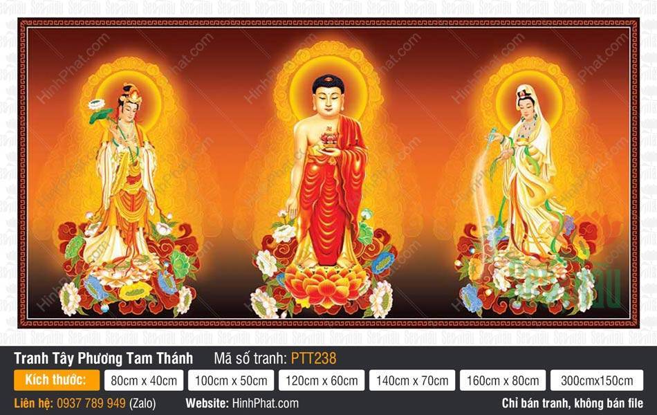 Hình Tây Phương Tam Thánh Khổ Lớn PTT238 Hình Tây Phương Tam Thánh Khổ Lớn PTT238 mô tả Đức Phật y đỏ và hai Bồ Tát trên đài sen