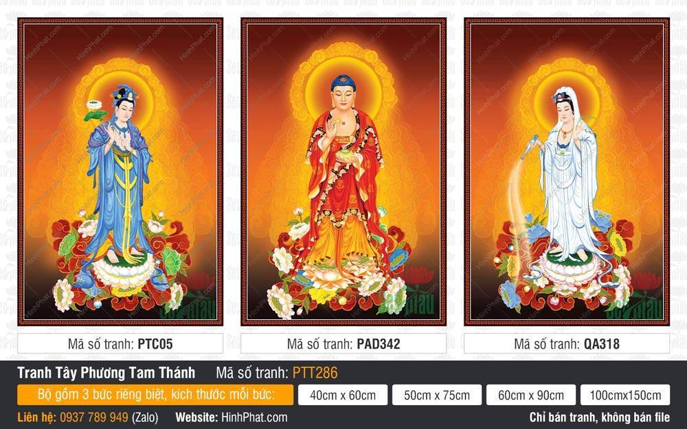 Hình Tây Phương Tam Thánh Khổ Lớn PTT286 Hình Tây Phương Tam Thánh Khổ Lớn PTT286 mô tả ba vị thánh đứng trên tòa sen trắng thanh khiết