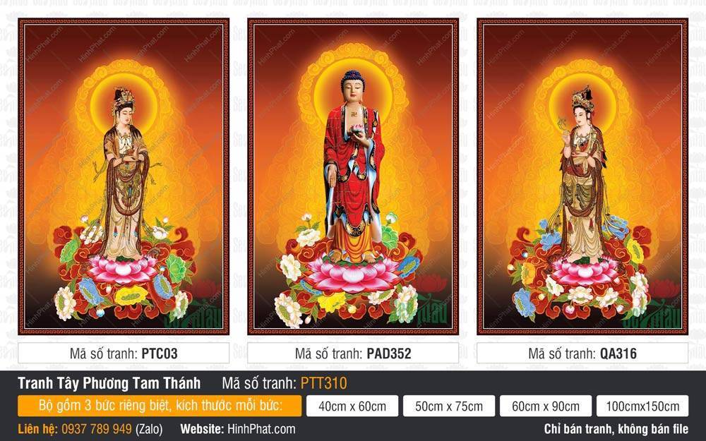 Hình Tây Phương Tam Thánh Khổ Lớn PTT310 Hình Tây Phương Tam Thánh Khổ Lớn PTT310 đức Phật y đỏ đứng trên tòa sen hào quang cam