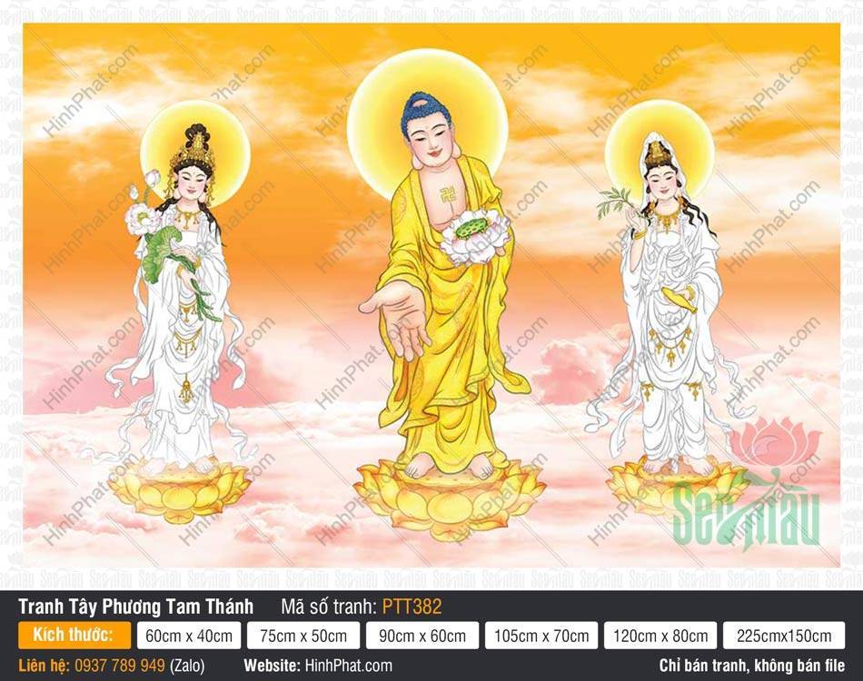 Hình Tây Phương Tam Thánh Khổ Lớn PTT382 Hình Tây Phương Tam Thánh Khổ Lớn PTT382 Phật A Di Đà áo vàng đứng trên đài sen