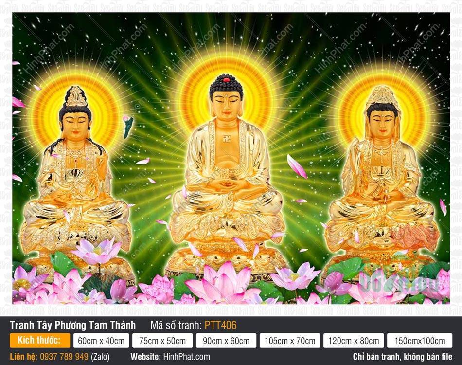 Hình Tây Phương Tam Thánh Khổ Lớn PTT406 Hình Tây Phương Tam Thánh Khổ Lớn PTT406 tọa sen vàng trên nền trời đêm