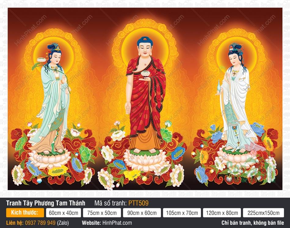 Hình Tây Phương Tam Thánh Kích Thước Lớn PTT509, Tranh Phật Tây Phương Tam Thánh Tiếp Dẫn, Tranh Tây Phương Tam Thánh, Tây Phương Tam Thánh, Tranh Phật Giáo Nghệ Thuật Hình Tây Phương Tam Thánh Kích Thước Lớn PTT509, Tranh Phật Tây Phương Tam Thánh Tiếp Dẫn, Tranh Tây Phương Tam Thánh, Tây Phương Tam Thánh, Tranh Phật Giáo Nghệ Thuật