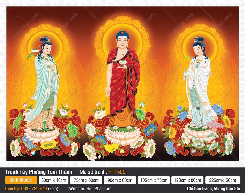 Hình Tây Phương Tam Thánh Kích Thước Lớn PTT509 Hình Tây Phương Tam Thánh Kích Thước Lớn PTT509 Ba Đức Ngài ngự đài sen trên nền vàng gấm rực rỡ