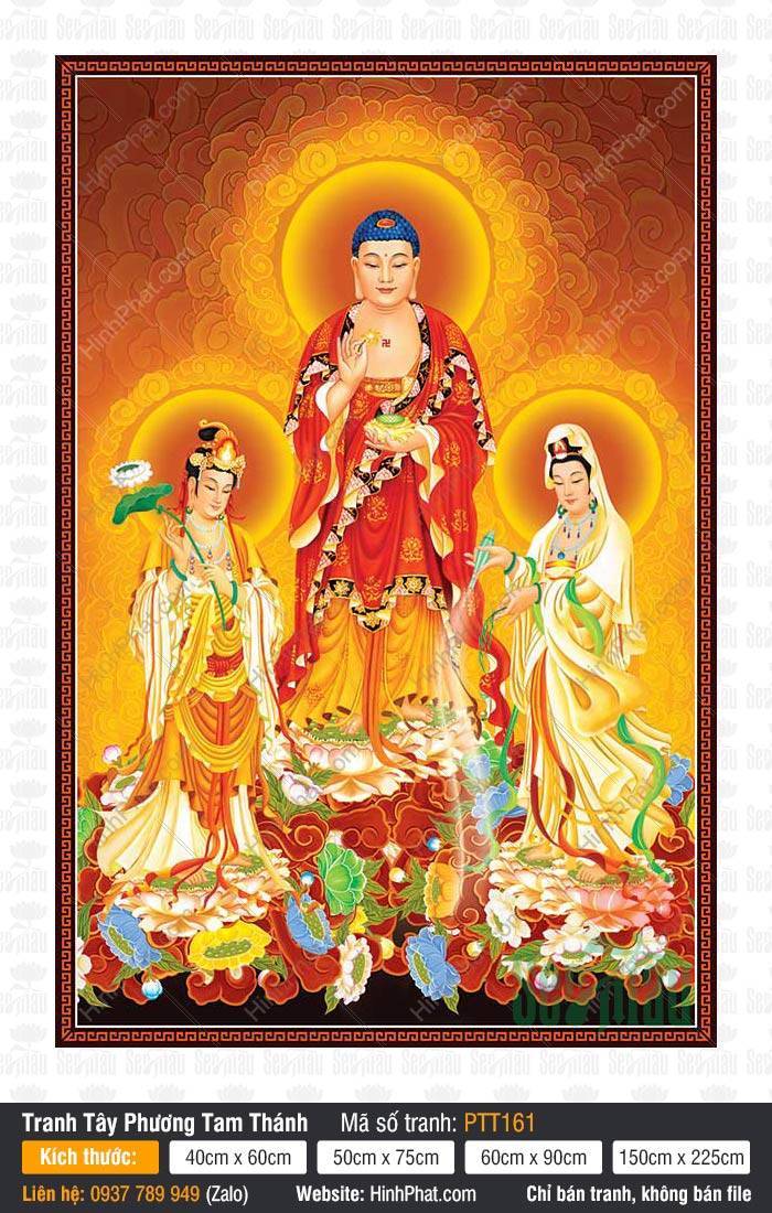 Hình Tây Phương Tam Thánh PTT161 Hình Tây Phương Tam Thánh PTT161 ba vị Phật và Bồ Tát đứng uy nghiêm trên đài sen nền vàng rực rỡ