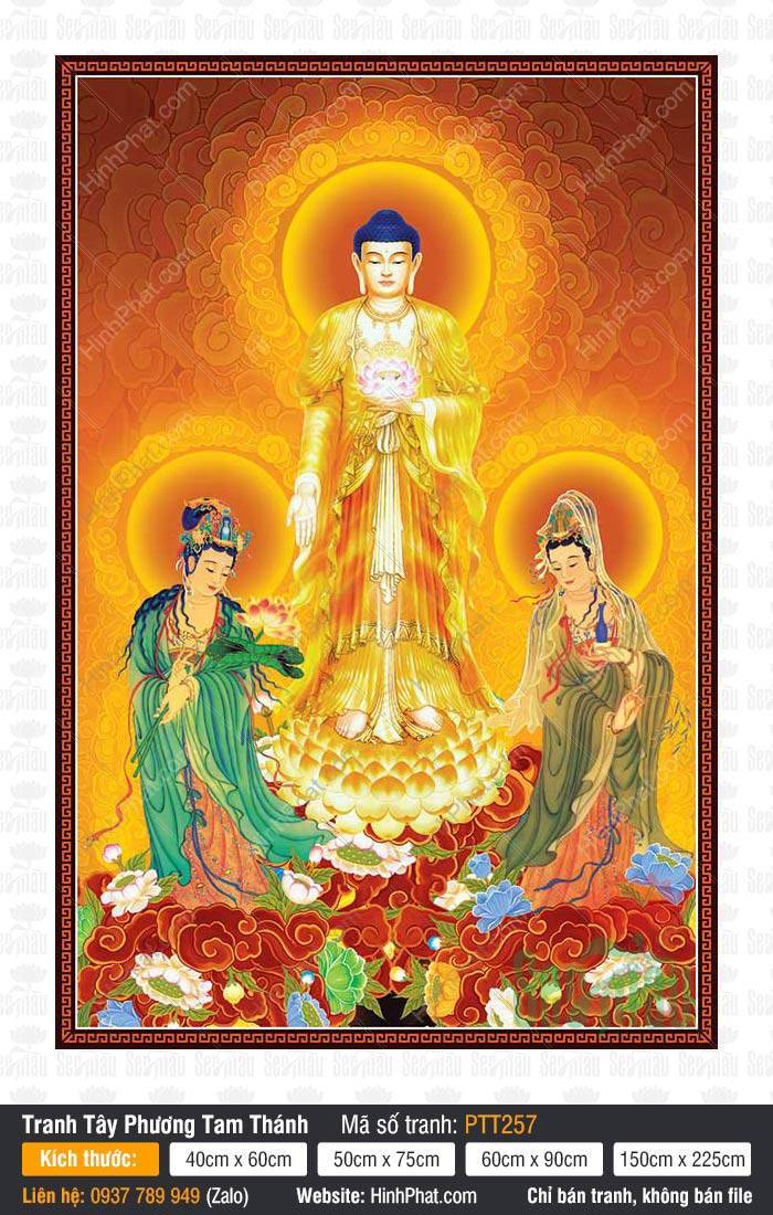 Hình Tây Phương Tam Thánh PTT257 Hình Tây Phương Tam Thánh PTT257 Đức Phật A Di Đà đứng tòa sen giữa mây ngũ sắc