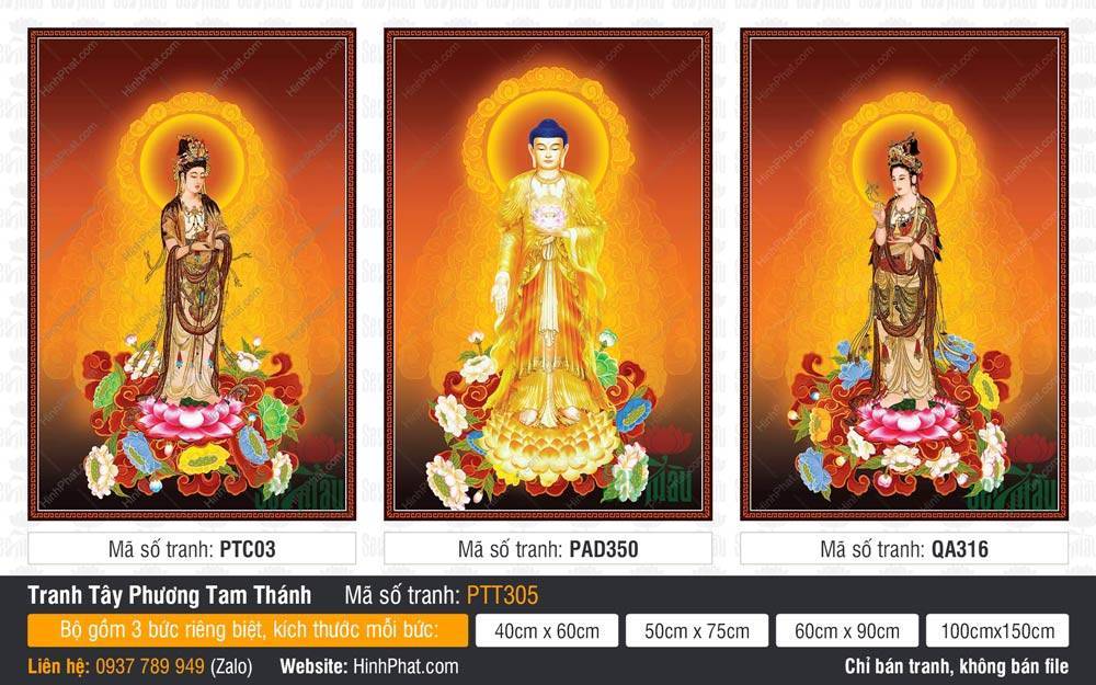 Hình Tây Phương Tam Thánh PTT305 Hình Tây Phương Tam Thánh PTT305 nổi bật với Đức Phật khoác y vàng rực rỡ