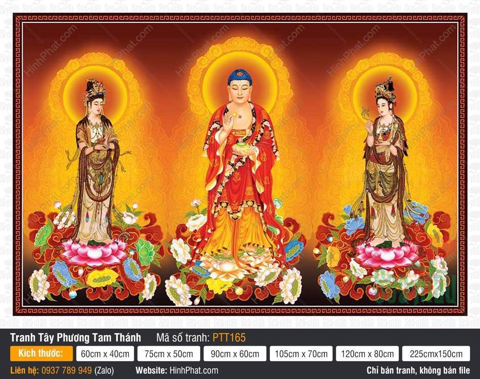 Hình Tây Phương Tam Thánh đẹp nhất PTT165 Hình Tây Phương Tam Thánh đẹp nhất PTT165 ba vị đứng trên đài sen nền vàng cam rực rỡ