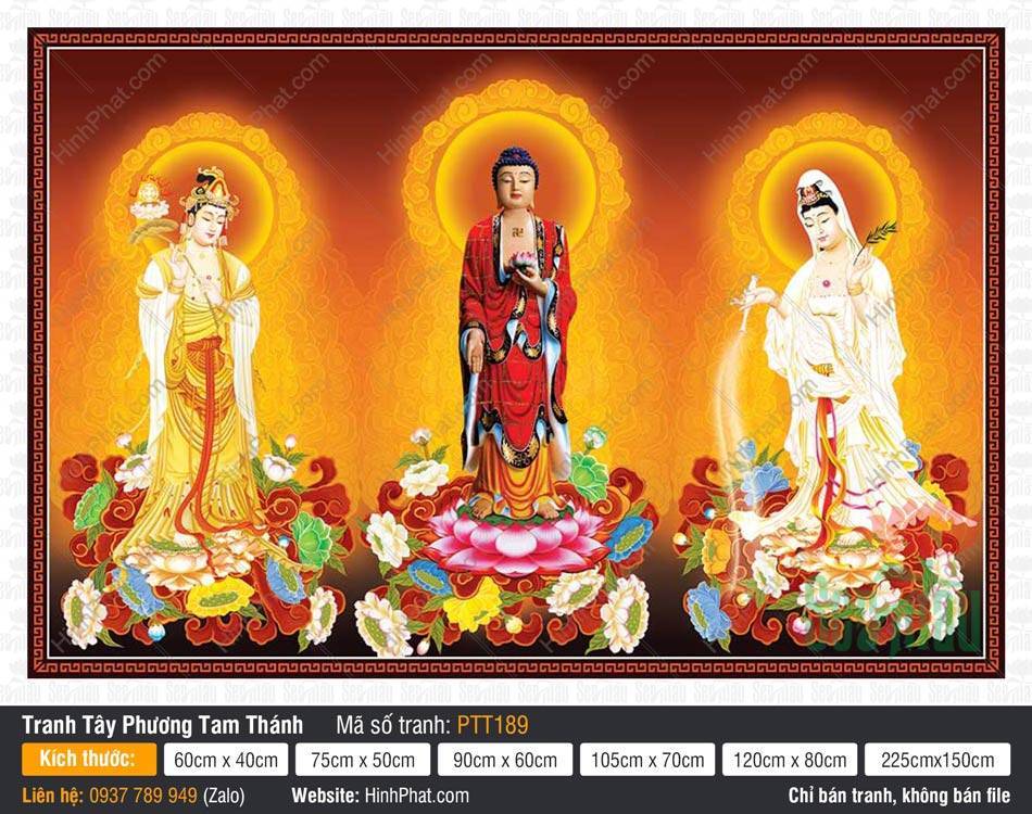 Hình Tây Phương Tam Thánh đẹp nhất PTT189 Hình Tây Phương Tam Thánh đẹp nhất PTT189 với Đức Phật A Di Đà đứng giữa đài sen hồng