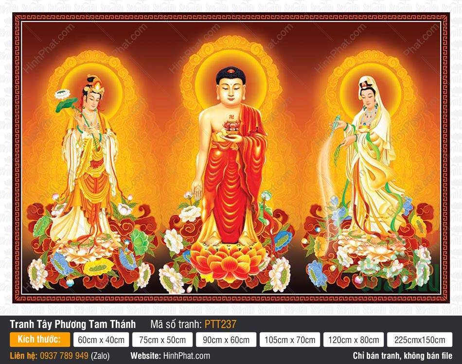 Hình Tây Phương Tam Thánh đẹp nhất PTT237 Hình Tây Phương Tam Thánh đẹp nhất PTT237 khắc họa ba đức Phật đứng trên đài sen rực rỡ