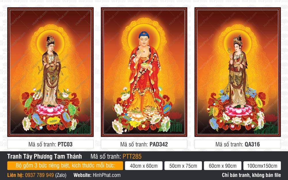 Hình Tây Phương Tam Thánh đẹp nhất PTT285 Hình Tây Phương Tam Thánh đẹp nhất PTT285 đứng trang nghiêm trên tòa sen và hào quang vàng