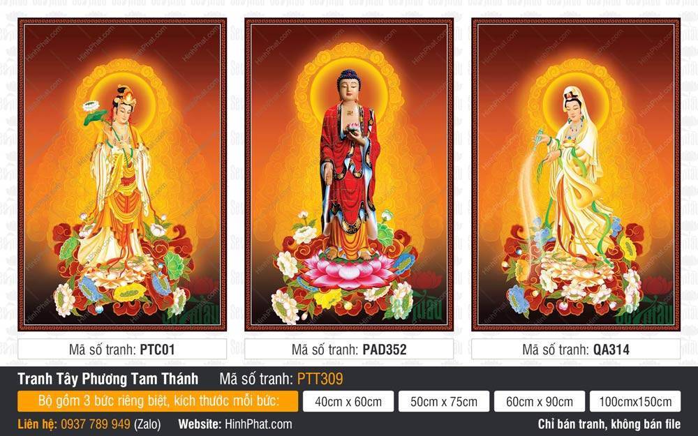 Hình Tây Phương Tam Thánh đẹp nhất PTT309 Hình Tây Phương Tam Thánh đẹp nhất PTT309 mô tả ba vị Phật đứng uy nghi trên tòa sen báu rực rỡ