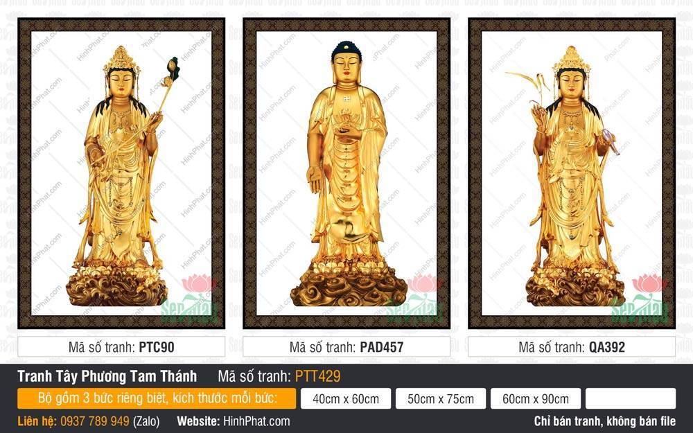 Hình Tây Phương Tam Thánh đẹp nhất PTT429 Hình Tây Phương Tam Thánh đẹp nhất PTT429 với tôn tượng vàng đứng trên đài sen đồng cổ