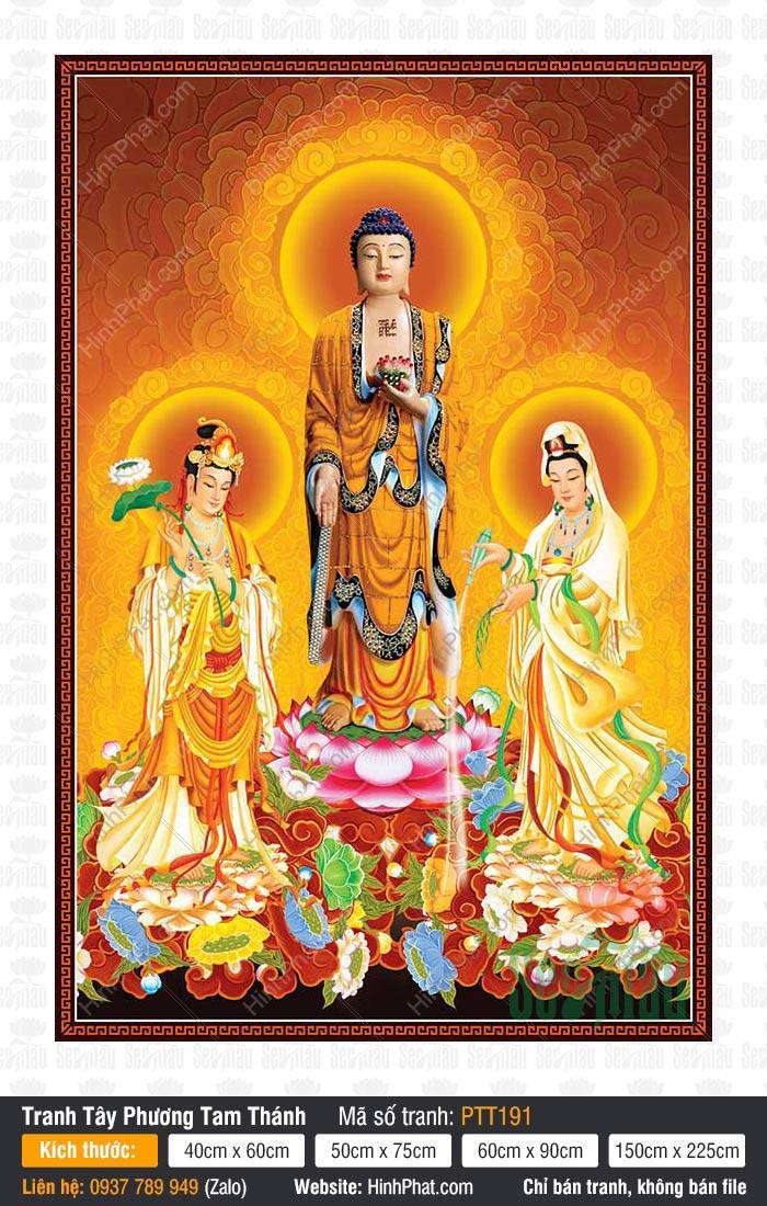 Hình Tây Phương Tam Thánh kích thước lớn PTT191 Hình Tây Phương Tam Thánh kích thước lớn PTT191 ba đức Phật uy nghiêm trên đài sen
