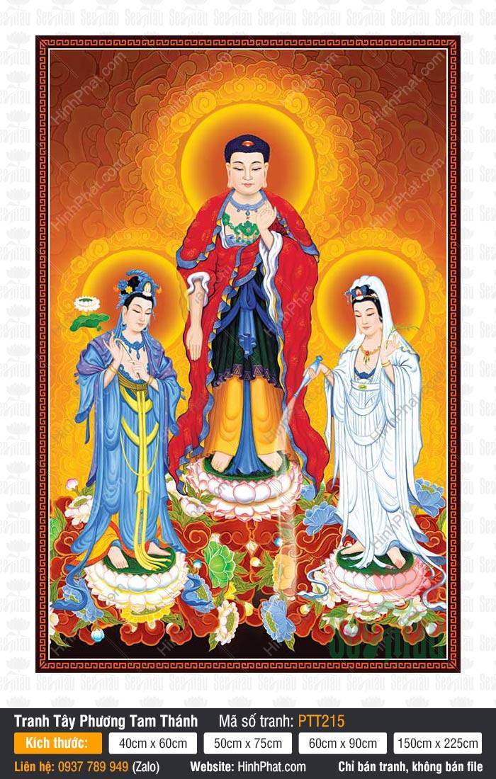 Hình Tây Phương Tam Thánh kích thước lớn PTT215 Hình Tây Phương Tam Thánh kích thước lớn PTT215 Đức Phật y đỏ đứng giữa mây trời hào quang