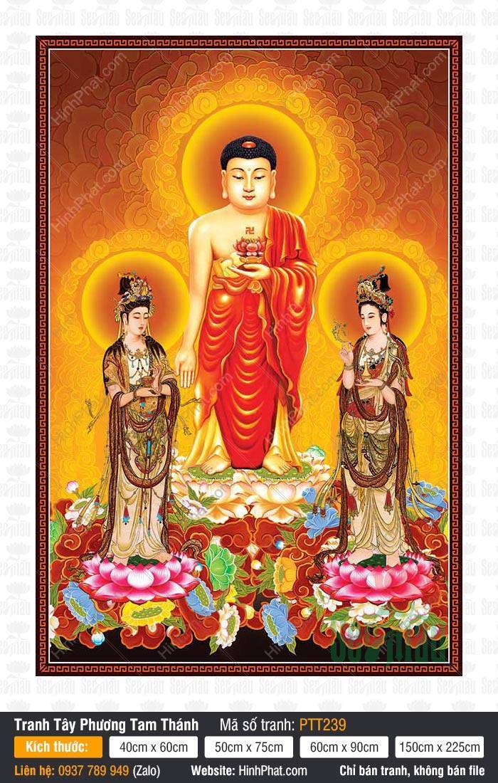 Hình Tây Phương Tam Thánh kích thước lớn PTT239 Hình Tây Phương Tam Thánh kích thước lớn PTT239 với Đức Phật mặc y đỏ đứng trên đài sen