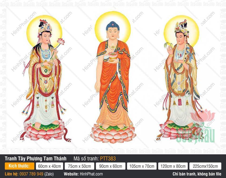 Hình Tây Phương Tam Thánh kích thước lớn PTT383 Hình Tây Phương Tam Thánh kích thước lớn PTT383 họa tiết sắc nét ba Đức Phật đứng trên đài sen hồng