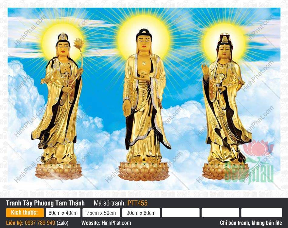 Hình Tây Phương Tam Thánh kích thước lớn PTT455 Hình Tây Phương Tam Thánh kích thước lớn PTT455 khắc họa ba vị thân vàng đứng giữa nền trời mây xanh