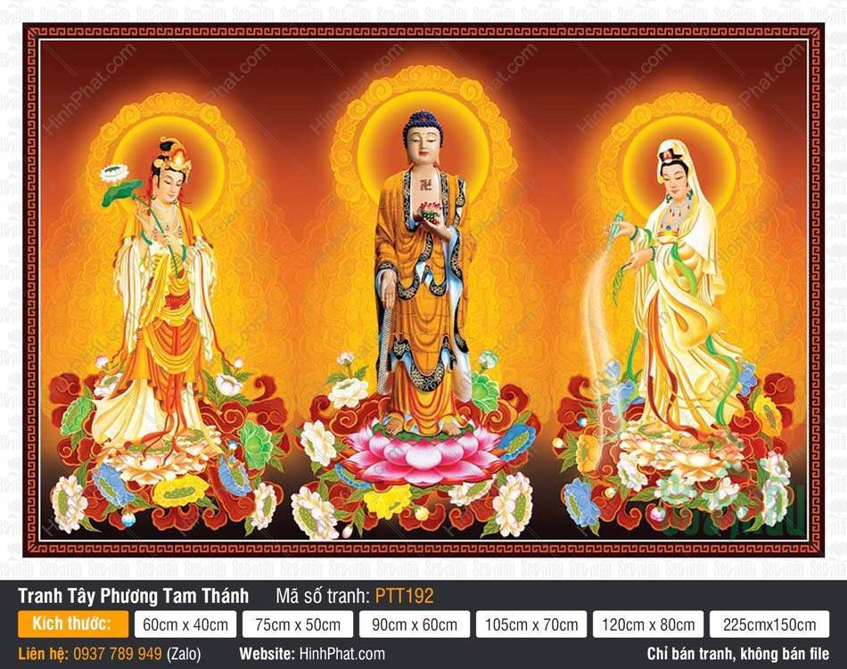 Hình Tây Phương Tam Thánh size Lớn PTT192 Hình Tây Phương Tam Thánh size Lớn PTT192 ba vị Phật và Bồ Tát đứng trên đài sen