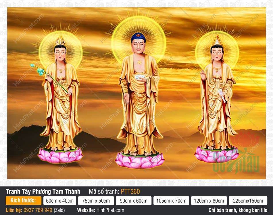 Hình Tây Phương Tam Thánh size Lớn PTT360 Hình Tây Phương Tam Thánh size Lớn PTT360 ba đức Phật áo vàng đứng đài sen hồng