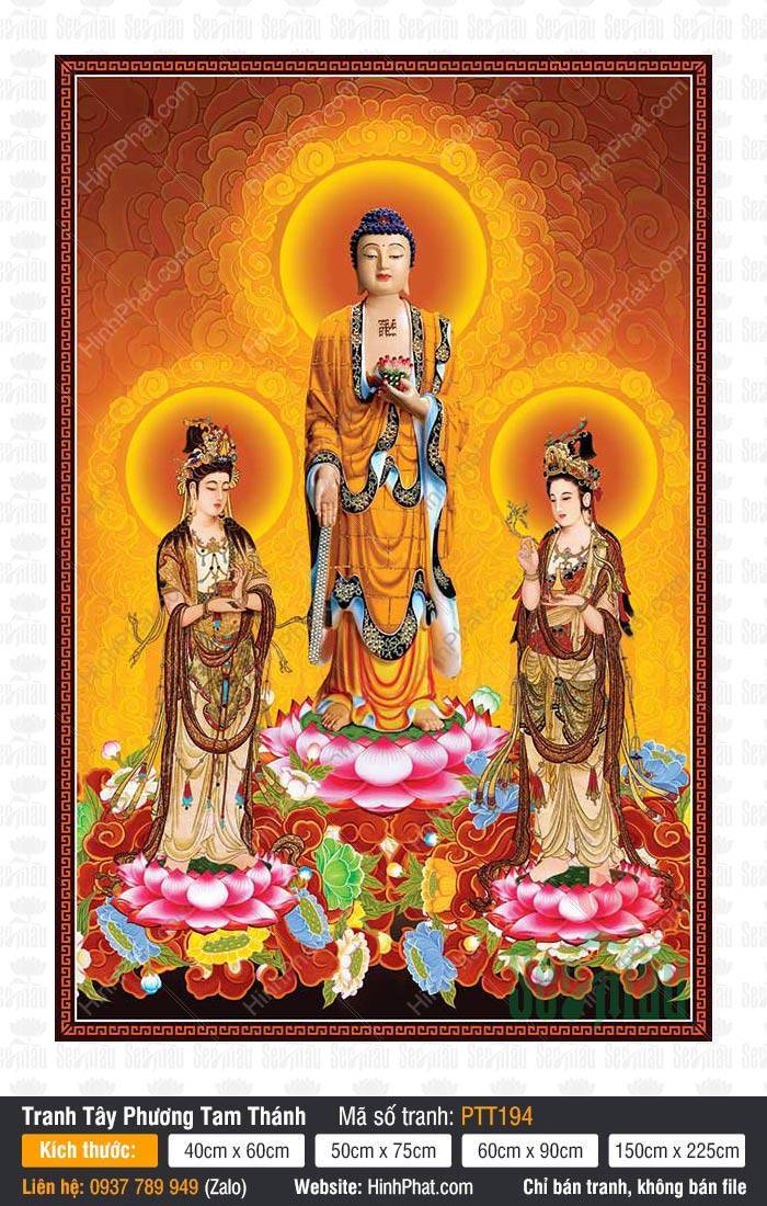 Tây Phương Tam Thánh Đẹp PTT194 Tây Phương Tam Thánh Đẹp PTT194 ba vị Phật đứng trên đài sen hồng rực rỡ
