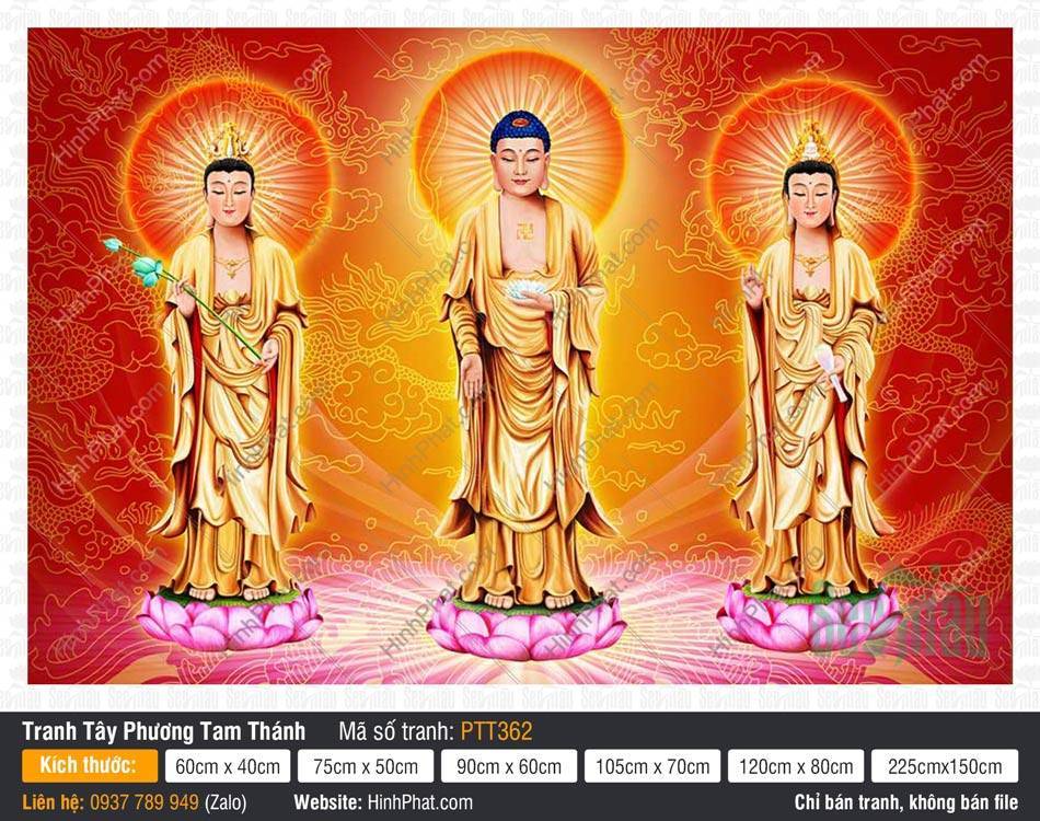 Tây Phương Tam Thánh Đẹp PTT362 Tây Phương Tam Thánh Đẹp PTT362 y phục vàng kim đứng trên đài sen
