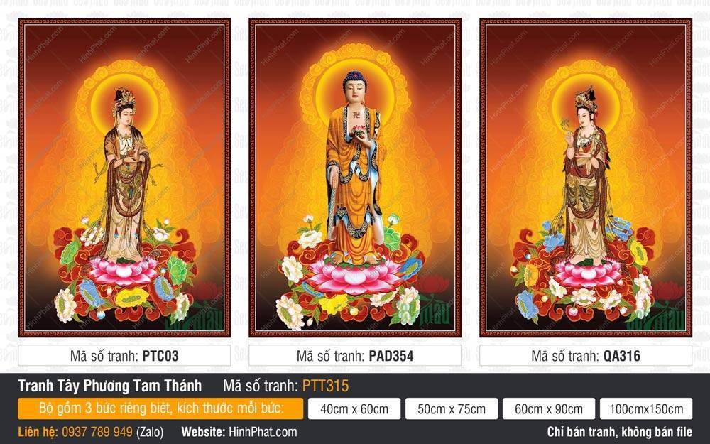 Tây Phương Tam Thánh Khổ Lớn PTT315 Tây Phương Tam Thánh Khổ Lớn PTT315 mô tả ba vị Phật đứng uy nghi trên tòa sen báu ngũ sắc