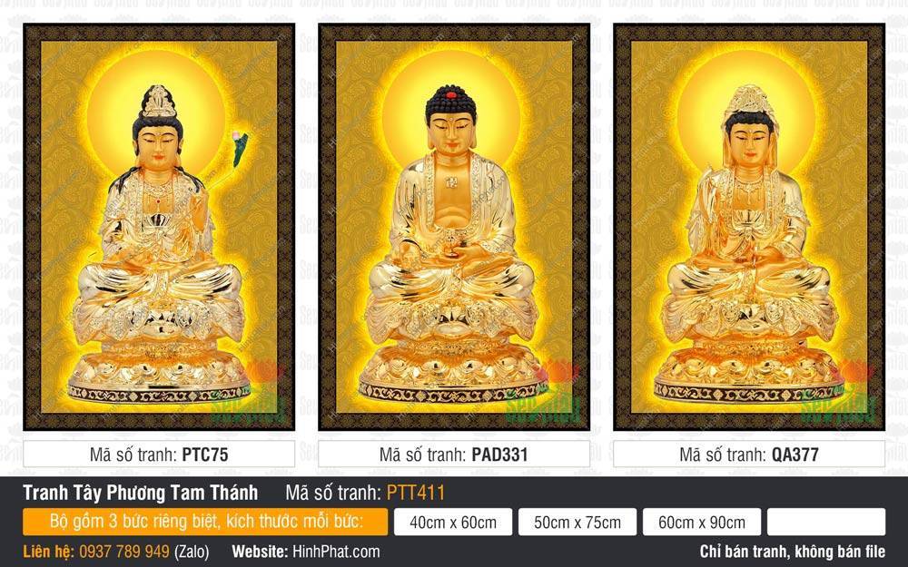 Tây Phương Tam Thánh Khổ Lớn PTT411 Tây Phương Tam Thánh Khổ Lớn PTT411 ba tôn tượng vàng kim ngự trên đài sen báu trang nghiêm