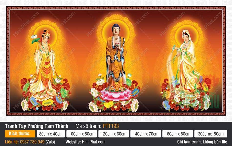Tây Phương Tam Thánh PTT193 Tây Phương Tam Thánh PTT193 khắc họa ba Đức Phật ngự trên tòa sen giữa hào quang vàng.