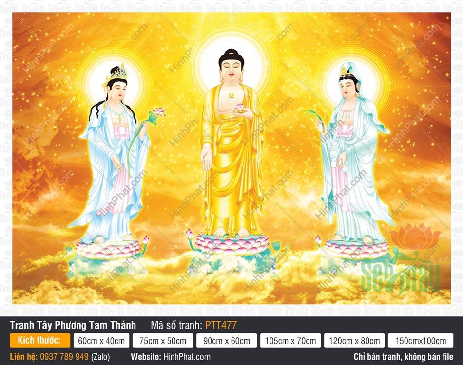 Tây Phương Tam Thánh PTT477, Tam Thánh Tây Phương Tây Phương Tam Thánh PTT477, Tam Thánh Tây Phương đứng trên đài sen giữa biển mây vàng
