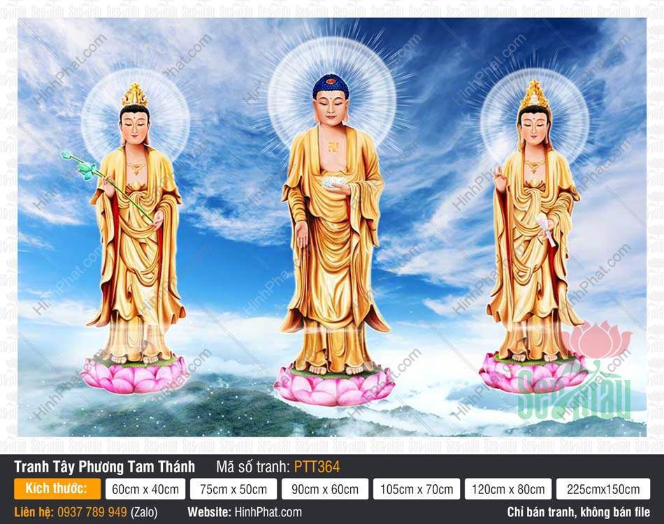 Tây Phương Tam Thánh kích thước lớn PTT364 Tây Phương Tam Thánh kích thước lớn PTT364 với hình ảnh ba Đức Phật mặc y vàng đứng trên đài sen.
