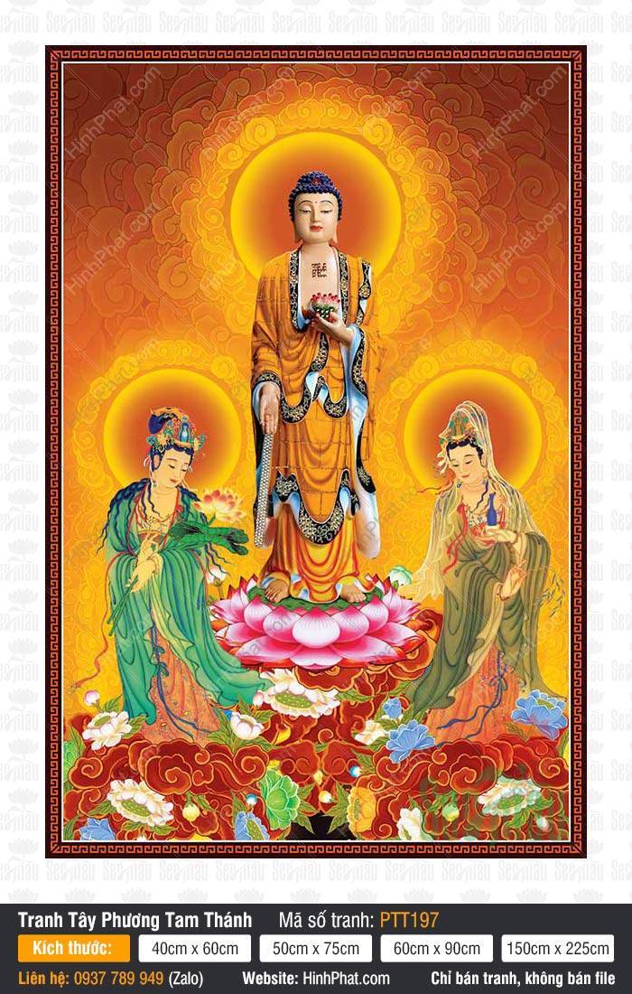 Tây Phương Tam Thánh size lớn PTT197 Tây Phương Tam Thánh size lớn PTT197 ba vị Phật đứng uy nghiêm trên đài sen hồng rực rỡ