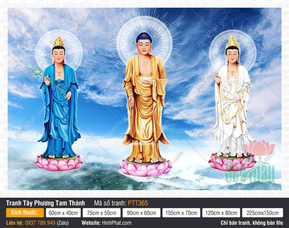Tây Phương Tam Thánh size lớn PTT365 Tây Phương Tam Thánh size lớn PTT365 đứng trên đài sen hồng giữa nền mây trời xanh biếc
