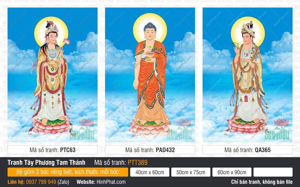 Tây Phương Tam Thánh size lớn PTT389 Tây Phương Tam Thánh size lớn PTT389 ba vị Phật đứng trên đài sen giữa mây trời xanh